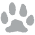 paw print